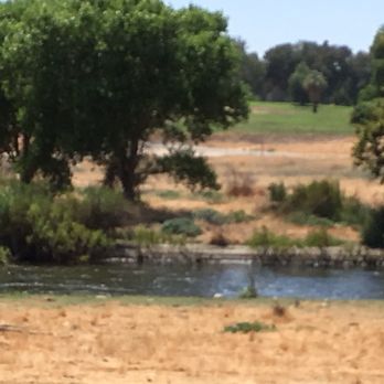 Rio Bravo Ranch - Olive Oil Near Me - Bakersfield, California