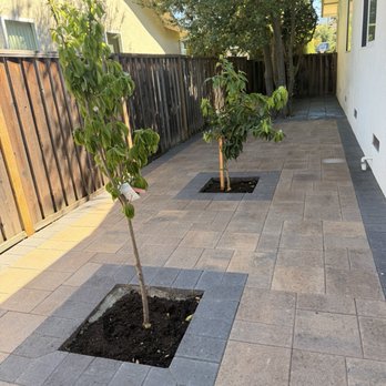 Bay Area Plus Landscaping - Landscaping Near Me Bay Area Plus Landscaping - Landscaping Near Me