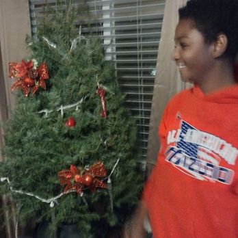 Dave's Christmas Trees - Perfect table top trees that stay fresh and smell fresh all season!!! Loved decorating!!!!! - Christmas Trees Near Me - Sacramento, California Dave's Christmas Trees - Perfect table top trees that stay fresh and smell fresh all season!!! Loved decorating!!!!! - Christmas Trees Near Me - Sacramento, California