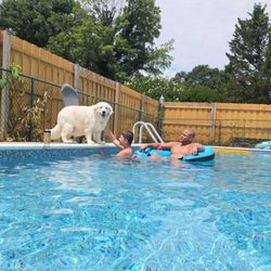 Affinity Pools - The pool that he stole the pool vacuum from with jumping over the fence. He lies he denies the fact & a police report was made.