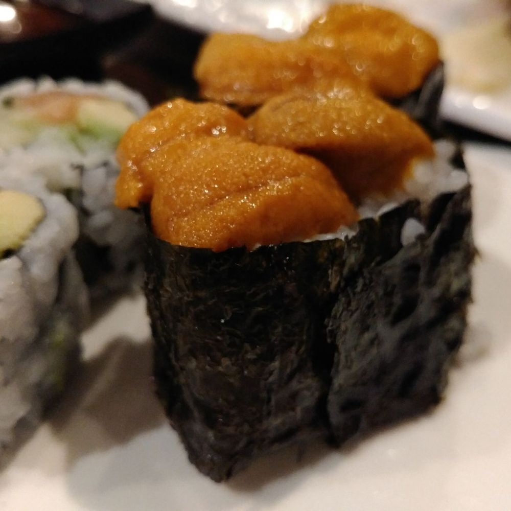 Fan Bistro - Uni sushi special! ~$9 for 2 pieces.  Alaska roll in background. - Chinese Near Me - New Providence, New Jersey