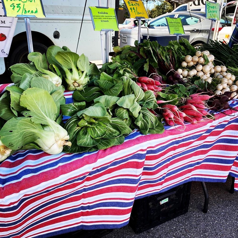ROUND ROCK FARMER’S MARKET 126 Photos & 20 Reviews 201 University