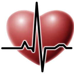 Vital Scan - Preventive Health Screenings Provided by Vital Scan, Inc.!