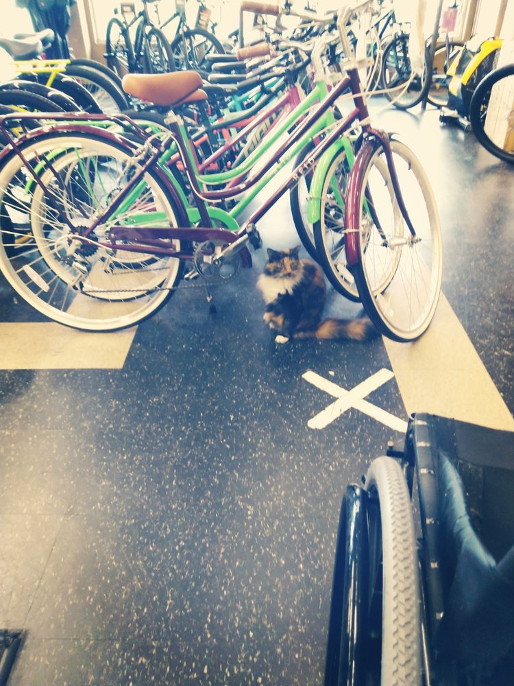 EAST BANK CYCLERY Updated September 2024 17 Photos & 21 Reviews