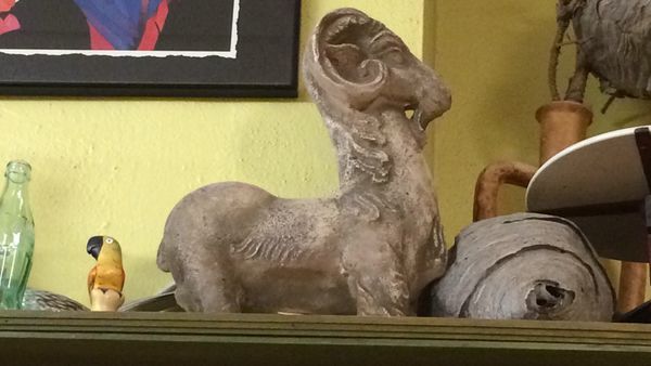 Parrot Confectionery by null