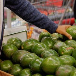 Food World Supermarket - Food World Sutphin