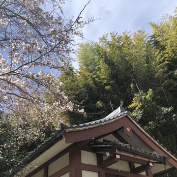 The Table Less Traveled - Cherry trees and shrine under a bamboo forest :) - Food Tours Near Me The Table Less Traveled - Cherry trees and shrine under a bamboo forest :) - Food Tours Near Me