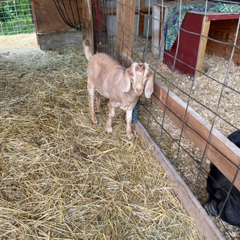 Willoughby Farm - Venues & Event Spaces Near Me - Collinsville, Illinois Willoughby Farm - Venues & Event Spaces Near Me - Collinsville, Illinois