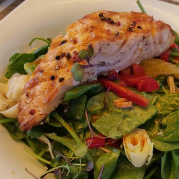 USS Nemo Restaurant - Grilled Salmon Salad.  Perfect balance of flavors & the unique blend of greens, walnuts, and citrus was amazing.  Order this. - Asian Fusion Near Me - Naples, Florida