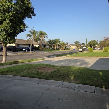 Great View Tree Experts - Tree Services Near Me Great View Tree Experts - Tree Services Near Me
