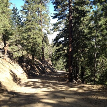 Tehachapi Mountain Park - Nice and shady early in the morning - Hiking Near Me - Tehachapi, California
