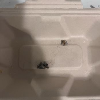 Before n After - hair through blueberry scone - Coffee & Tea Near Me - La Palma, California Before n After - hair through blueberry scone - Coffee & Tea Near Me - La Palma, California