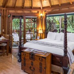 Volcano Village Lodge - Room at Volcano Village Lodge.