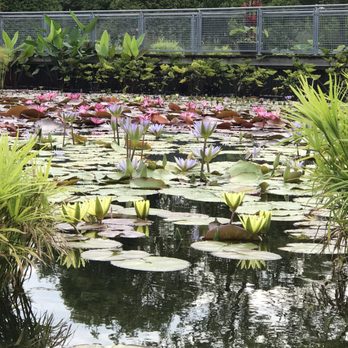 Inspiration Kitchens - View of Garfield Park Conservatory a couple blocks away. Free entry easy to get there via green line CTA. Picture taken Aug 27 2017 - New American Near Me - Chicago, Illinois Inspiration Kitchens - View of Garfield Park Conservatory a couple blocks away. Free entry easy to get there via green line CTA. Picture taken Aug 27 2017 - New American Near Me - Chicago, Illinois