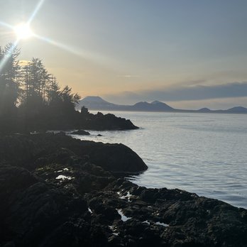 Bumble Expeditions - Whale Watching Tours Near Me