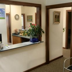 Michael Fiske, DC - The waiting room is bright and welcoming.