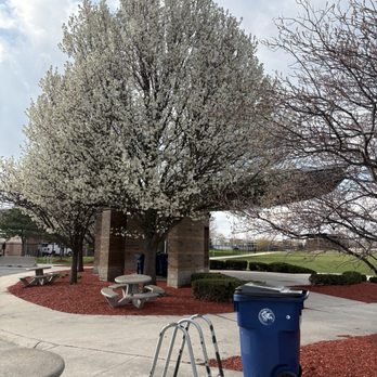 Cicero Community Park - Beautiful trees - Skate Parks Near Me - Cicero, Illinois
