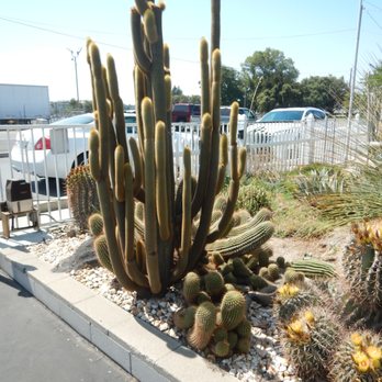 Poot's Cactus Nursery - Nurseries & Gardening Near Me - Ripon, California