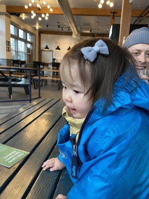 Ladd & Lass Brewing by null