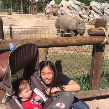 Denver Zoo - Hello rhino! - Zoos Near Me - Denver, Colorado Denver Zoo - Hello rhino! - Zoos Near Me - Denver, Colorado