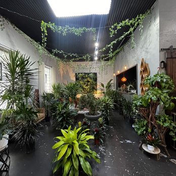 Energy Gardens Terrariums - Plants and lounge area - Nurseries & Gardening Near Me - Dallas, Texas Energy Gardens Terrariums - Plants and lounge area - Nurseries & Gardening Near Me - Dallas, Texas