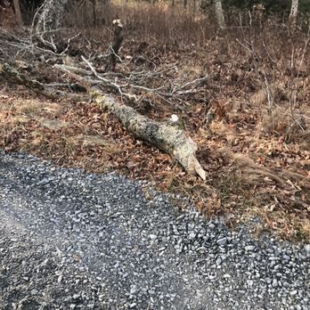 Boone High Country Rentals - No cleanup in yard - Property Management Near Me - Boone, North Carolina