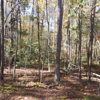 Turnipseed Nature Preserve - Parks Near Me - Wendell, North Carolina