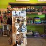Splash and Dash Groomerie & Boutique