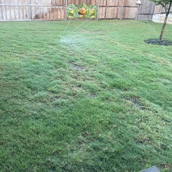 Emerald Lawns - Tree Services Near Me - Round Rock, Texas