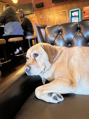 Fireside Bar by null