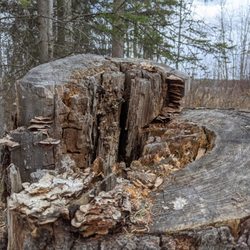 Wabamun Provincial Park