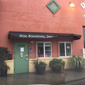 Dog Time! - Pet Boarding Near Me - San Leandro, California