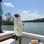 Photo of Endless Summer Charters