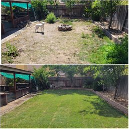 Before and after Before and after