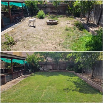 Wias Landscaping Services - Before and after - Fences & Gates Near Me Wias Landscaping Services - Before and after - Fences & Gates Near Me