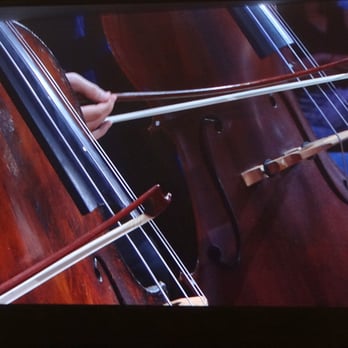 New World Symphony - The talented bass players. - Performing Arts Near Me - Miami Beach, Florida