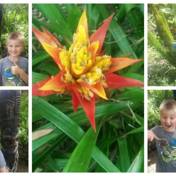 Kula Botanical Gardens - Parks Near Me - Kula, Hawaii