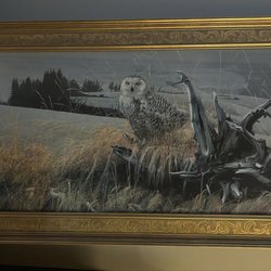 Framemaker Gallery - The frame and picture. It's not hung up yet but will be soon!