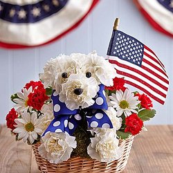 Botetourt Florist - many fun designs