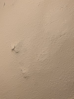 The Holland Hotel by null