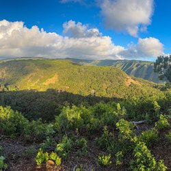 Pu'u O Hoku Ranch - Hiking views