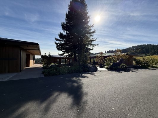 Ambar Estate by null