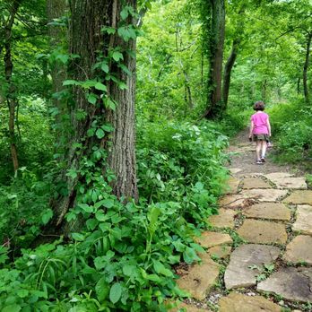 Withrow Nature Preserve - Hiking Near Me - Cincinnati, Ohio