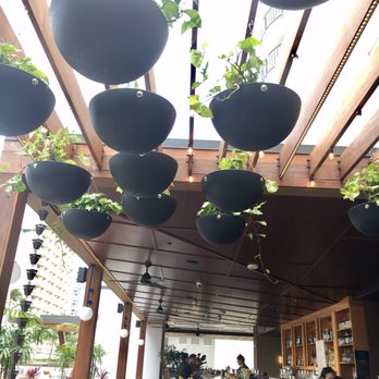 Hideout - Bars Near Me - Honolulu, Hawaii Hideout - Bars Near Me - Honolulu, Hawaii