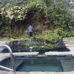 Process of trimming and protecting the pool! Process of trimming and protecting the pool!