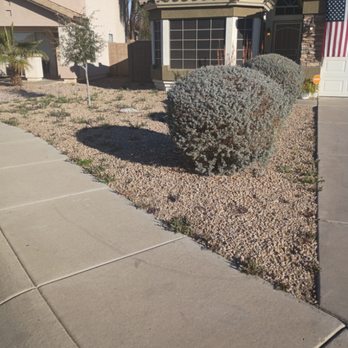 Arison Performance Landscape - Before Weeds Removal - Lawn Services Near Me - Arizona City, Arizona Arison Performance Landscape - Before Weeds Removal - Lawn Services Near Me - Arizona City, Arizona