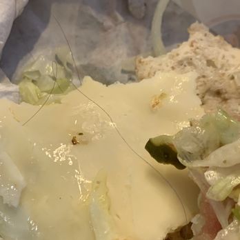 Jersey Mike's Subs - Notice long dark hair on wheat bread and veggie sub... - Sandwiches Near Me - Centerville, Ohio