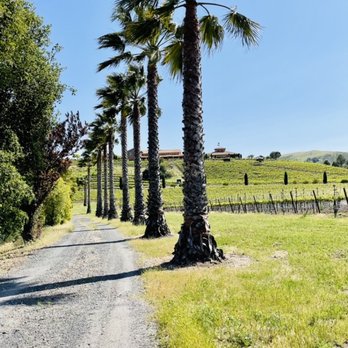 Sidecar Tours - Food Tours Near Me - Napa, California