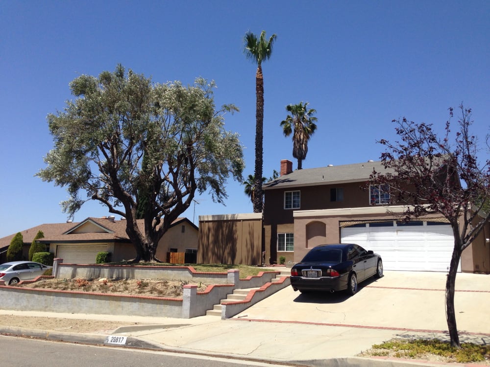 XTREME TREE CARE Updated October 2024 23 Photos 8762 Vinmar Ave, Rancho Cucamonga