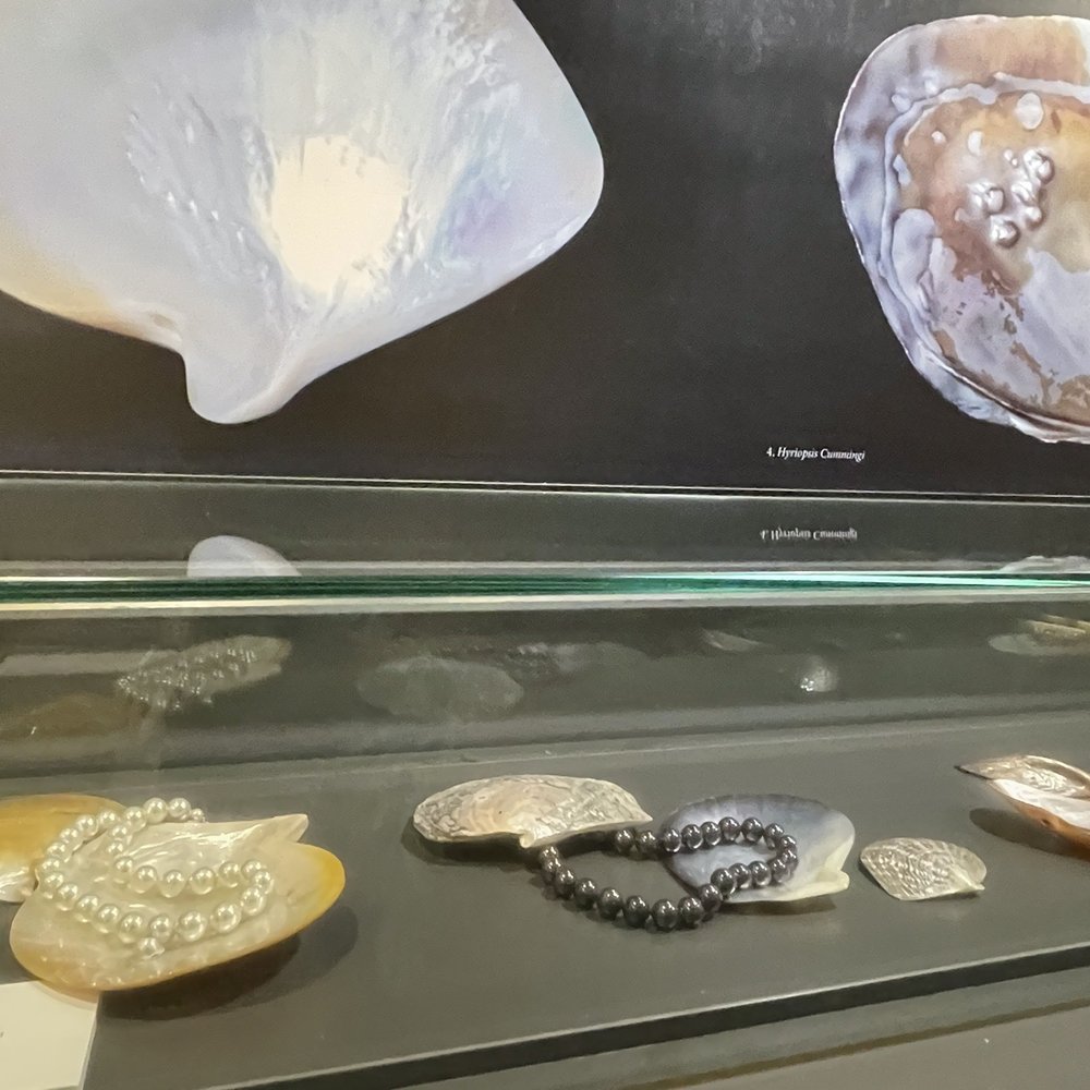 Mallorca Pearl Museum - Museums Near Me